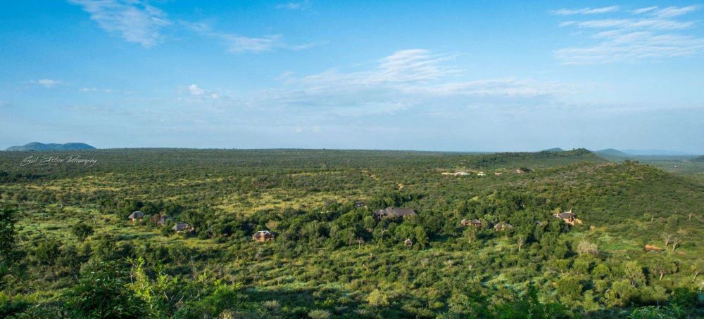 Luxury Impodimo Safari Game Lodge Image